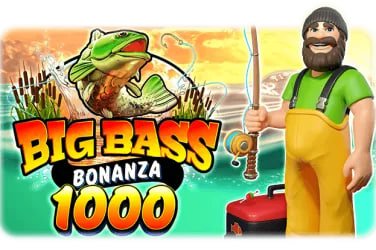 bdbjy